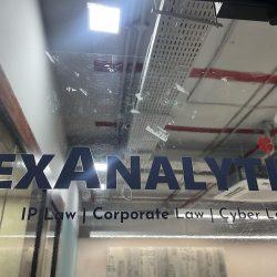 lex9-scaled.jpg